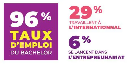 taux d'insertion bachelor